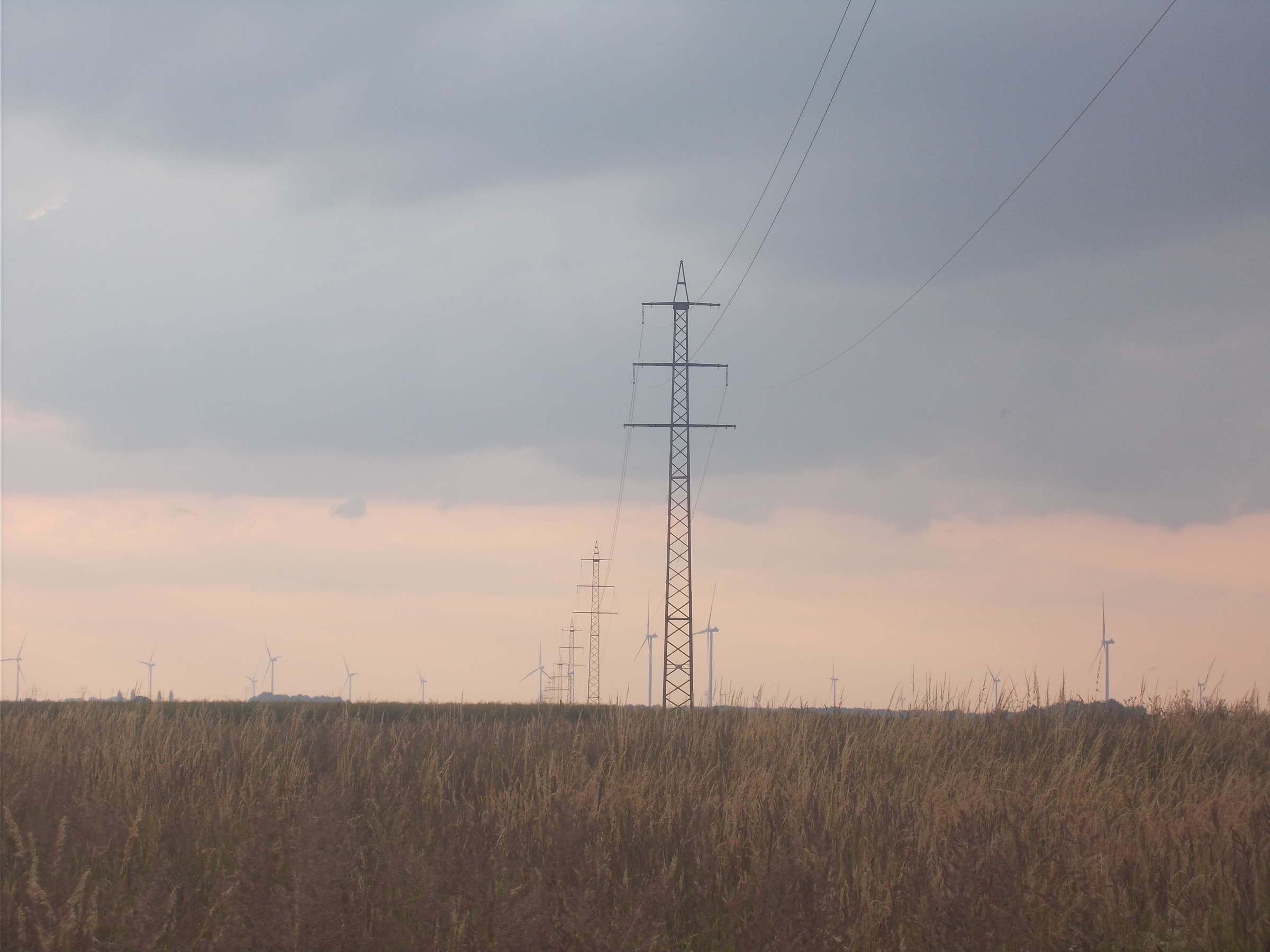 Linia elektroenergetyczna nad polem, w tle turbiny wiatrowe pod zachmurzonym niebem.